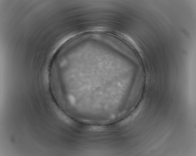 X0000113590835200910161841