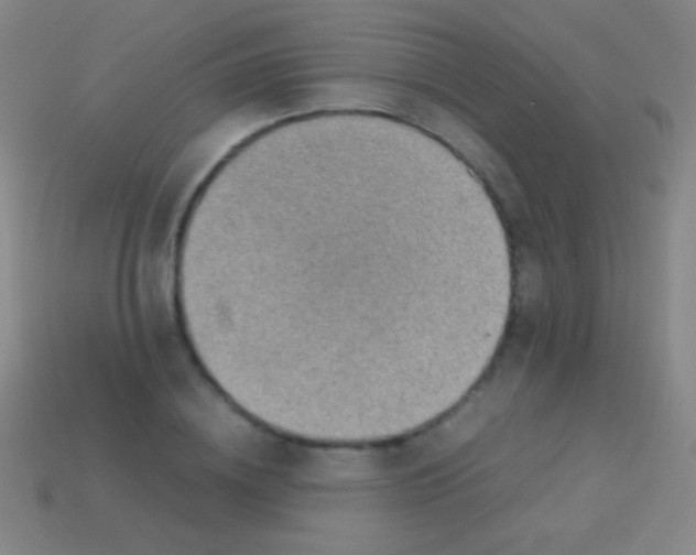 X0000113590836200910161841
