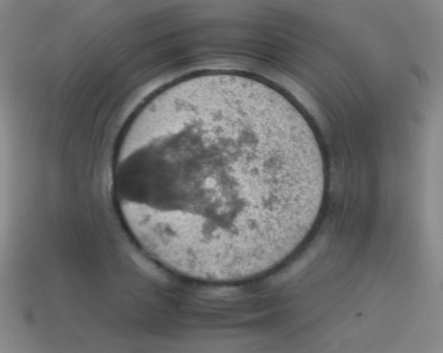 X0000113590837200910161841