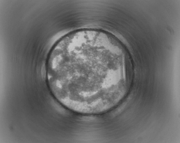 X0000113590838200910161841