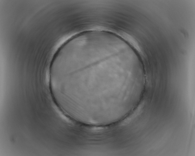 X0000113590839200910161841