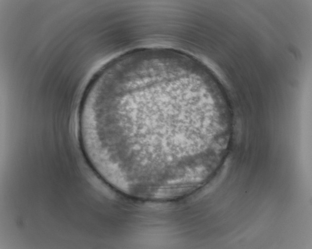 X0000113590840200910161841