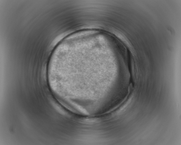 X0000113590842200910161841