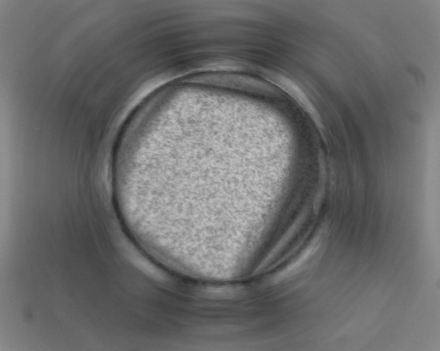 X0000113590843200910161841