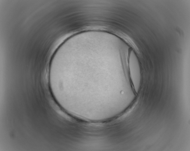 X0000113590844200910161841