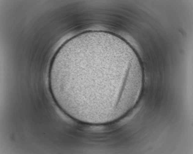 X0000113590845200910161841