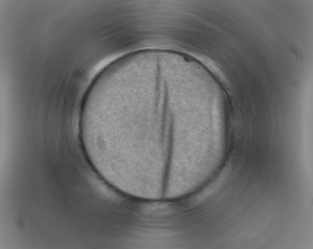 X0000113590846200910161841
