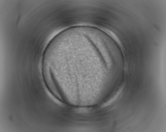 X0000113590847200910161841