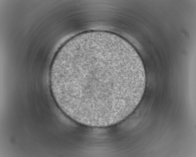 X0000113590848200910161841