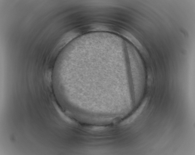 X0000113590849200910161841
