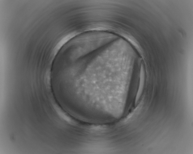 X0000113590850200910161841