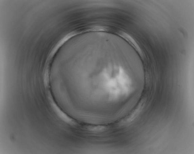 X0000113590851200910161841