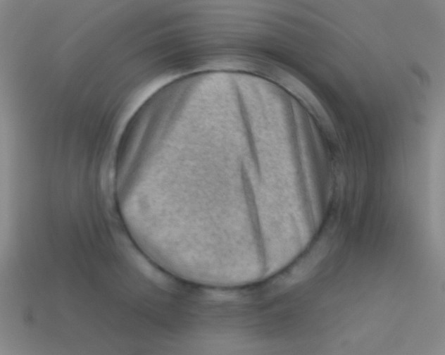 X0000113590852200910161841