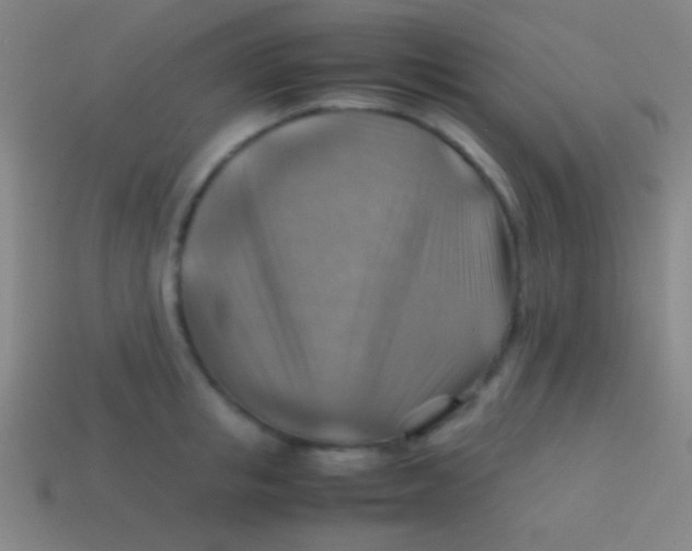 X0000113590853200910161841