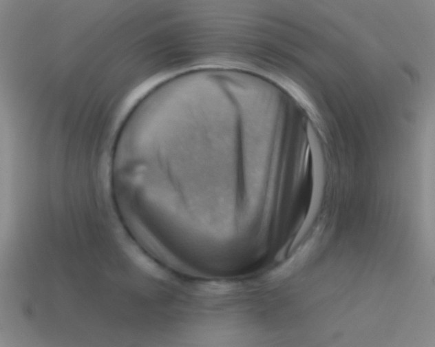 X0000113590854200910161841