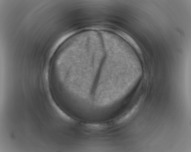 X0000113590855200910161841