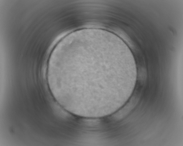 X0000113590856200910161841