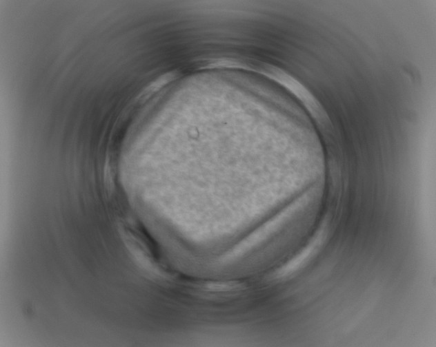 X0000113590857200910161841