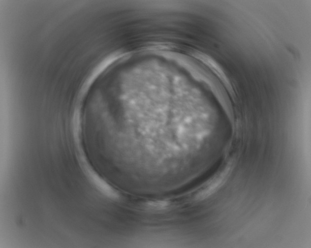 X0000113590859200910161841