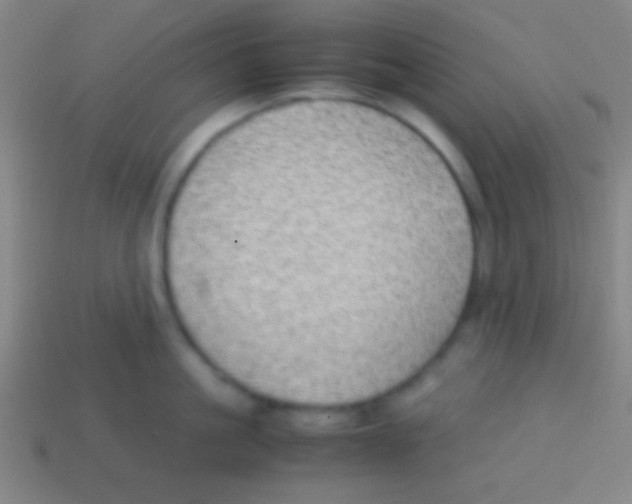 X0000113590861200910161841