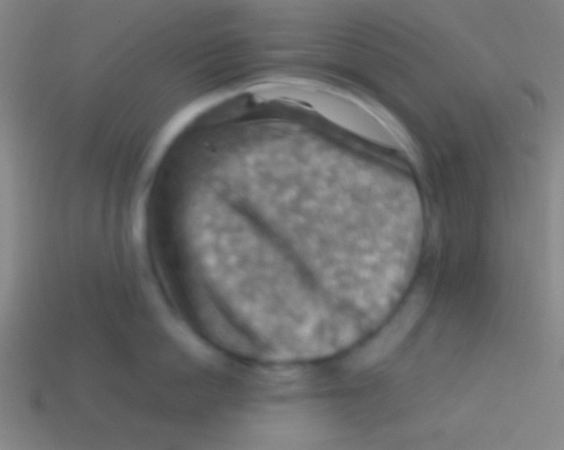 X0000113590862200910161841