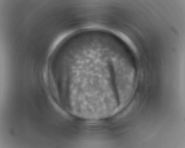 X0000113590863200910161841