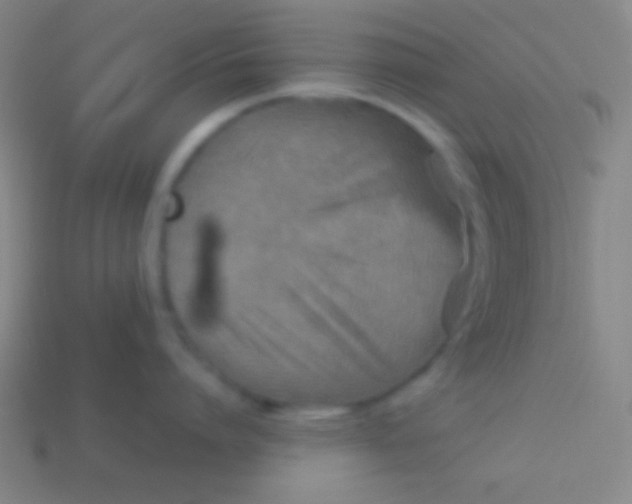 X0000113590864200910161842