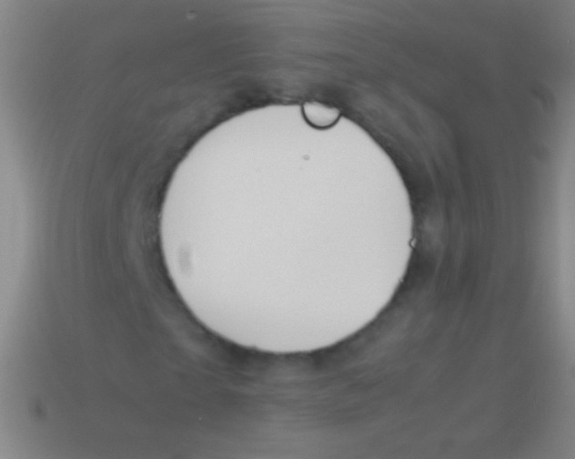 X0000113590865200910161841