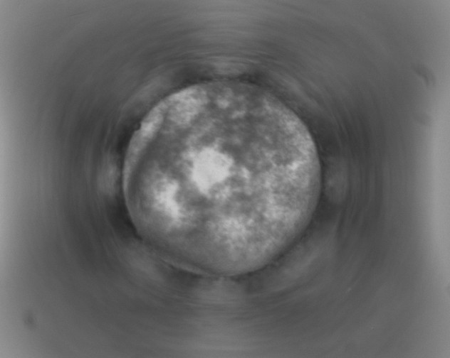 X0000113590866200910161841