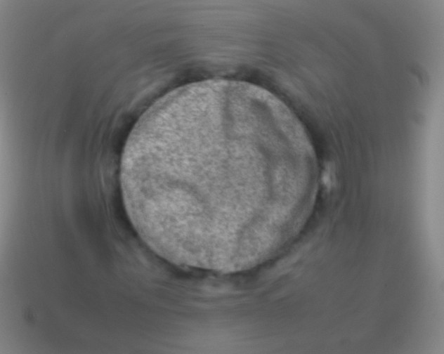 X0000113590867200910161841