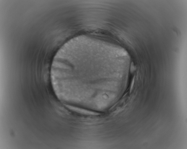 X0000113590868200910161841