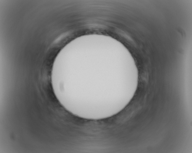 X0000113590869200910161841