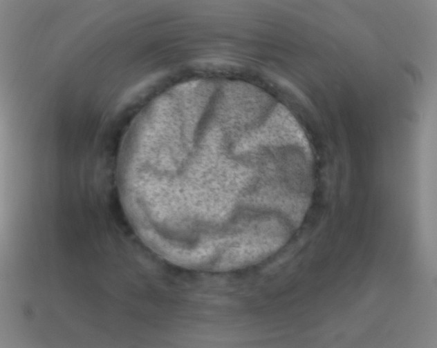 X0000113590870200910161841
