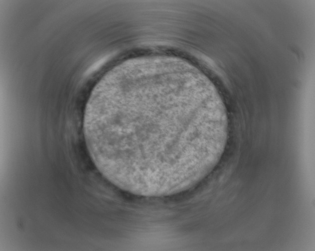 X0000113590871200910161841