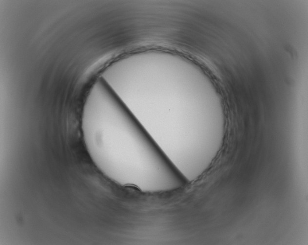 X0000113590872200910161841