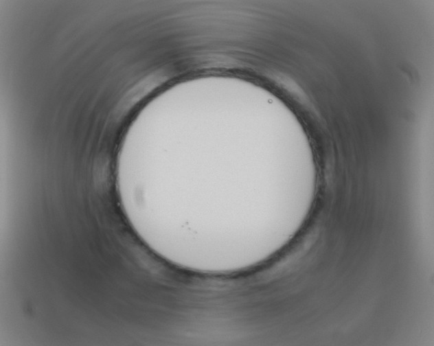 X0000113590873200910161841