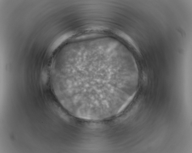 X0000113590874200910161841
