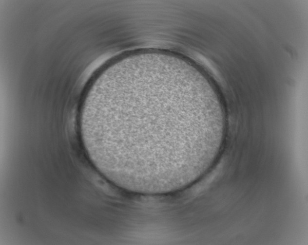 X0000113590875200910161841