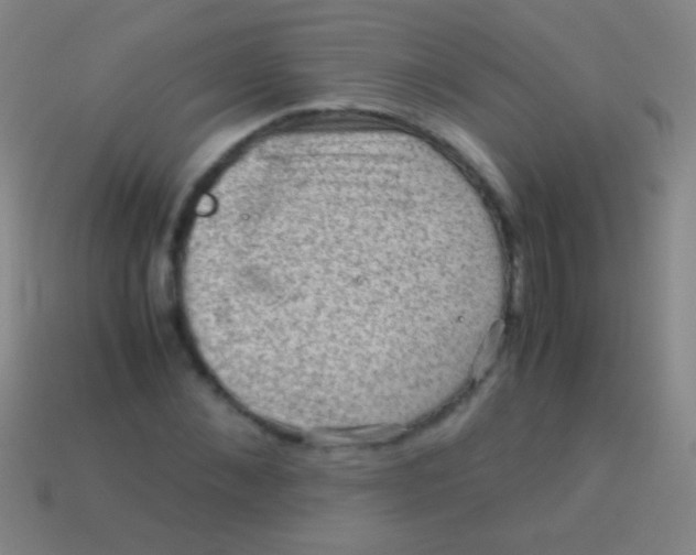 X0000113590876200910161841
