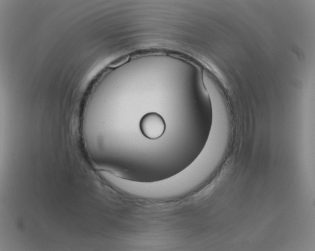 X0000113590877200910161841