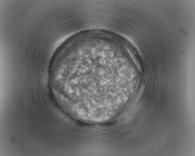 X0000113590879200910161841