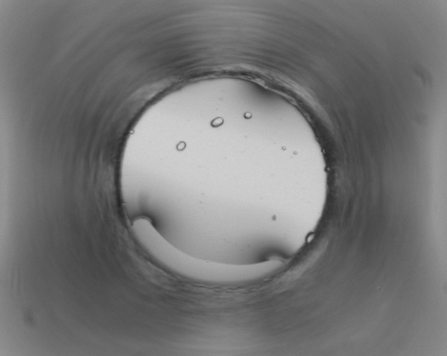 X0000113590881200910161841