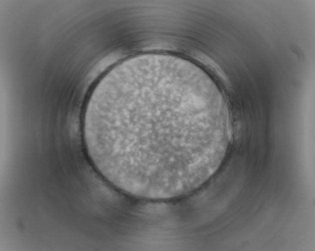 X0000113590882200910161841