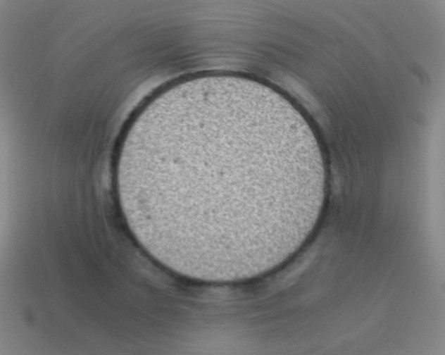 X0000113590883200910161841