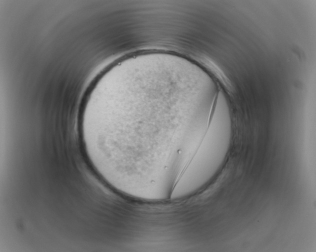 X0000113590884200910161841