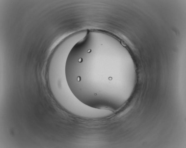 X0000113590885200910161841