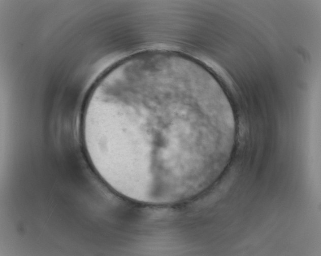 X0000113590886200910161841