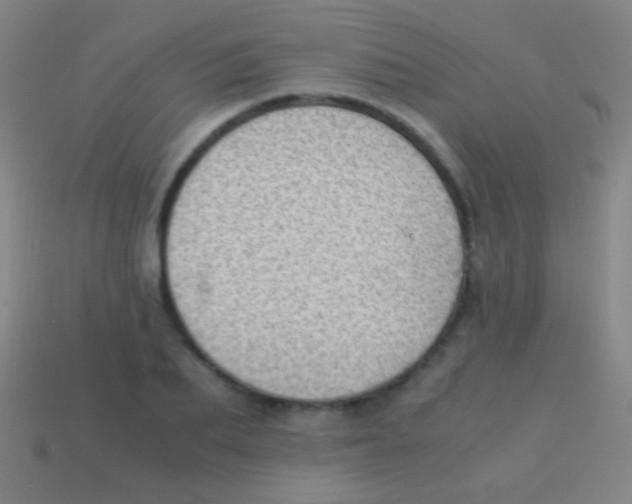 X0000113590887200910161841
