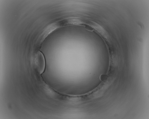 X0000113590889200910161840