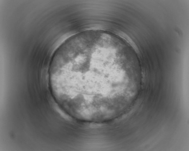 X0000113590890200910161840